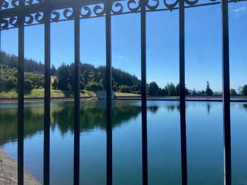 A serene lake view framed by a black metal fence, surrounded by trees and a clear blue sky.