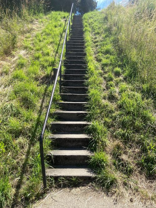 A set of stone steps leads up a grassy hill, flanked by tall grass and a clear blue sky above.