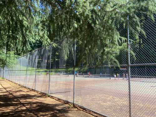 A fenced tennis court surrounded by trees, with players visible in the background on a sunny day.