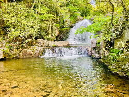 A serene waterfall cascades into a clear pool, surrounded by lush greenery and rocky terrain.