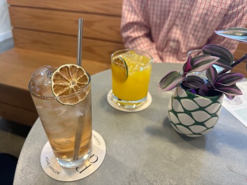 Two colorful cocktails on a table: one with ice and a dried lemon slice, the other a vibrant yellow drink.