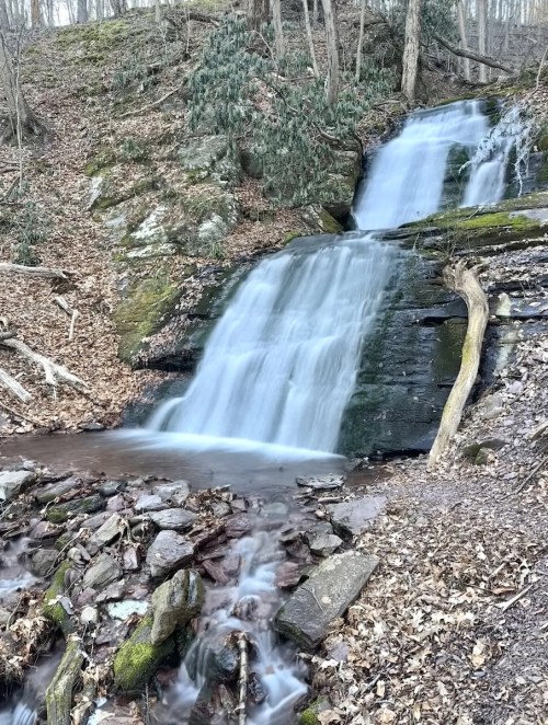 A serene waterfall cascades over rocks, surrounded by trees and fallen leaves in a tranquil forest setting.