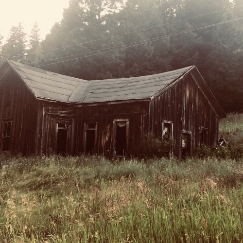 A weathered, abandoned wooden building surrounded by tall grass and trees in a misty landscape.