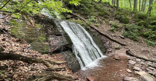 A serene waterfall cascading over rocks, surrounded by lush greenery and forest foliage.