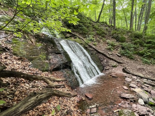 A serene waterfall cascades over rocks, surrounded by lush green trees and fallen leaves in a peaceful forest setting.