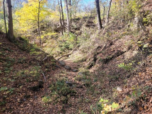 A serene forest scene with a dry creek bed, surrounded by trees and colorful autumn foliage.