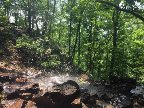 A waterfall cascading over rocks, surrounded by lush green trees in a serene forest setting.
