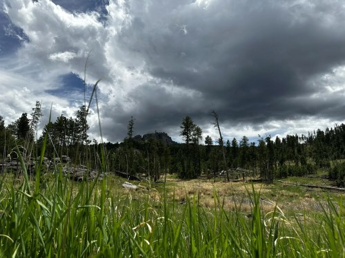 A grassy field with tall grass, surrounded by trees and a rocky outcrop under a cloudy sky.