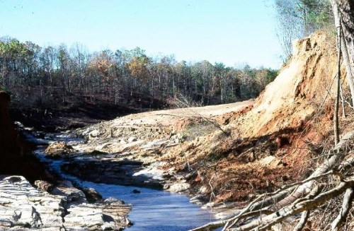 A riverbank with eroded soil, surrounded by trees and a clear blue sky, showcasing natural landscape changes.