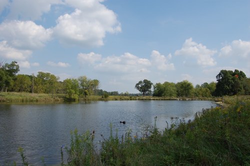 A serene pond surrounded by lush greenery and trees under a partly cloudy sky.