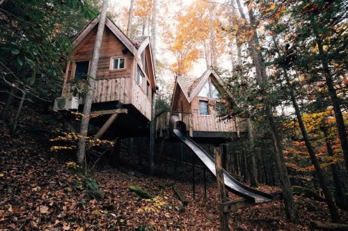 Two wooden treehouses with sloped roofs, surrounded by autumn foliage and a slide leading down to the forest floor.