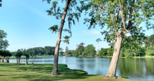A serene lake surrounded by lush greenery and trees under a clear blue sky.