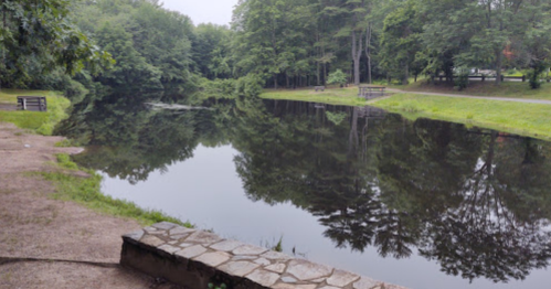 A serene pond surrounded by lush greenery, reflecting trees and a cloudy sky. Benches are visible along the shore.