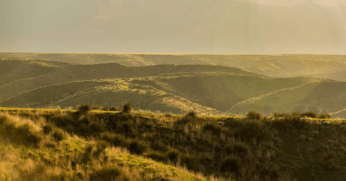 Rolling green hills under a soft, golden light, creating a serene and tranquil landscape.
