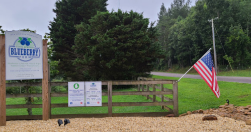 Sign for Blueberry Farm with an American flag, surrounded by greenery and gravel path.