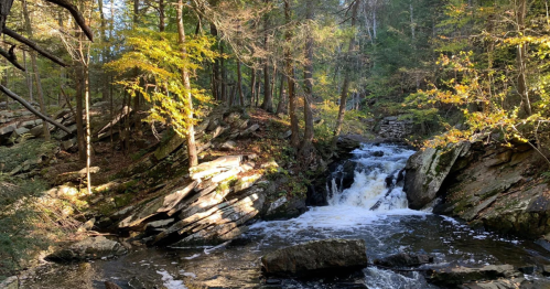 A serene forest scene featuring a small waterfall cascading over rocks, surrounded by trees and autumn foliage.