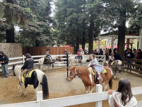 Children riding ponies in a fenced area, surrounded by trees and spectators enjoying the activity.