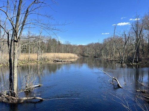 A serene river flows through a wooded area, reflecting blue skies and bare trees along its banks.