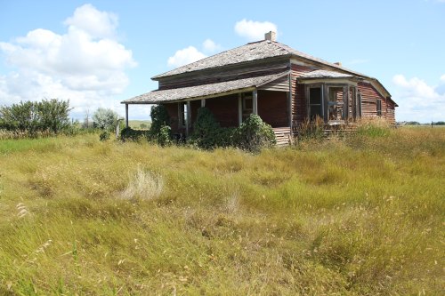Abandoned wooden house surrounded by tall grass under a blue sky with fluffy clouds.