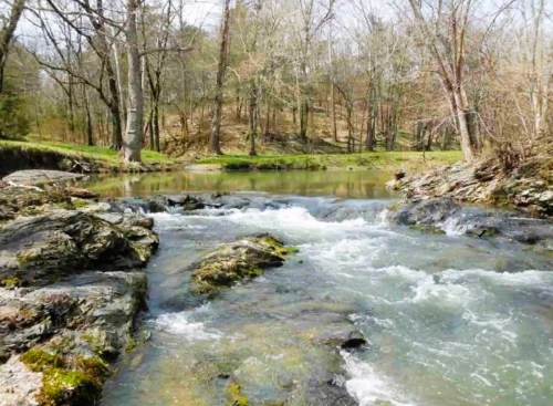 A serene river flows over rocks, surrounded by trees and greenery in a peaceful natural setting.