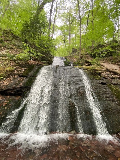 A serene waterfall cascading down a rocky surface, surrounded by lush green trees and foliage.