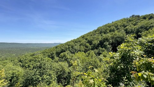 Lush green hillside under a clear blue sky, showcasing a vast forested landscape.