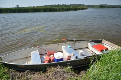 A small boat is moored by a riverbank, surrounded by tall grass and reeds, with calm water in the background.