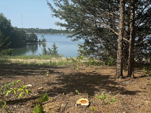 A serene lakeside view with trees, a clear blue sky, and cut tree stumps on the ground.