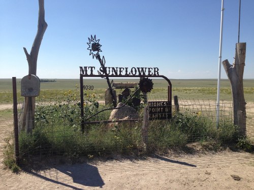 Sign for Mt. Sunflower, the highest point in Kansas, surrounded by sunflowers and open fields.
