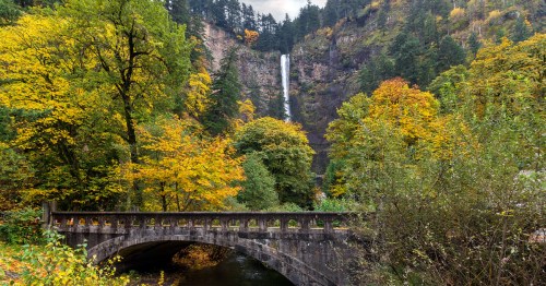Multnomah Falls is visible in the distance, while trees covered in fall foliage and a historic bridge is in the foreground.