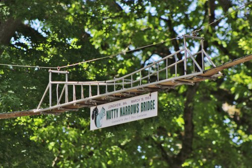 A small suspension bridge sign reading "Nutty Narrows Bridge" hangs among green trees in Longview, WA.