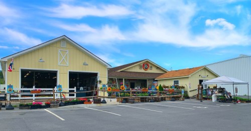 The exterior of Orr's Farm Market, with flowers and produce.