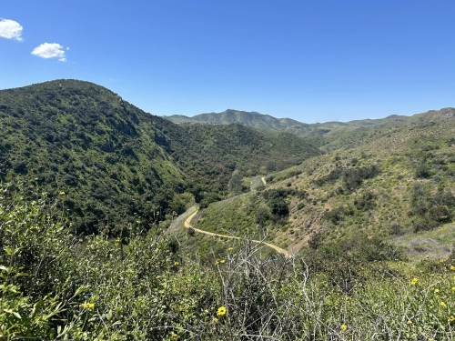 A scenic view of rolling green hills and a winding dirt road under a clear blue sky.