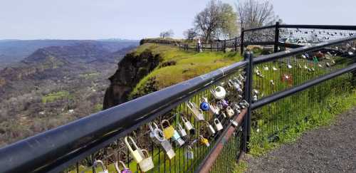 A scenic view of a cliffside with a fence adorned with colorful padlocks, overlooking a lush valley below.