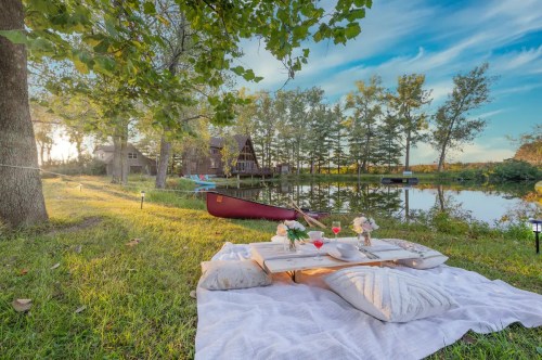 A cozy picnic setup by a serene pond, featuring a blanket, flowers, and a canoe in a picturesque natural setting.