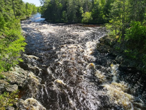 A flowing river surrounded by lush green trees and rocky banks under a clear blue sky.