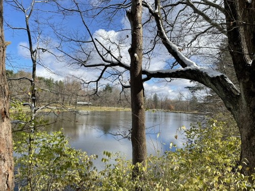 A serene lake surrounded by trees and greenery under a blue sky with fluffy clouds.