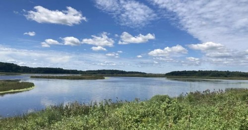 A serene river landscape with lush greenery, calm water, and a blue sky dotted with fluffy clouds.