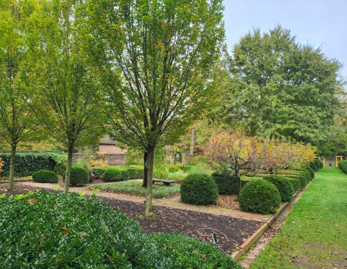 A serene garden with neatly trimmed bushes, trees, and a variety of plants, surrounded by pathways and greenery.