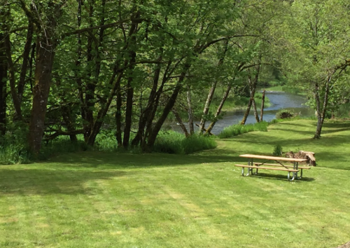 A serene park scene featuring a grassy area, a picnic table, and a calm river surrounded by trees.