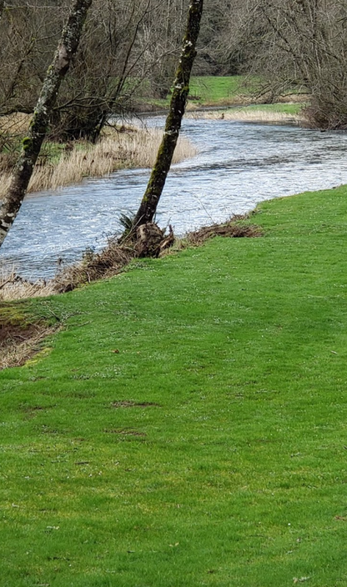 A serene river flows through a lush green landscape, bordered by trees and tall grass.