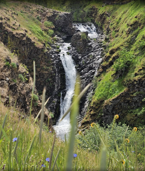 A waterfall cascades down rocky cliffs, surrounded by lush greenery and wildflowers in a serene landscape.