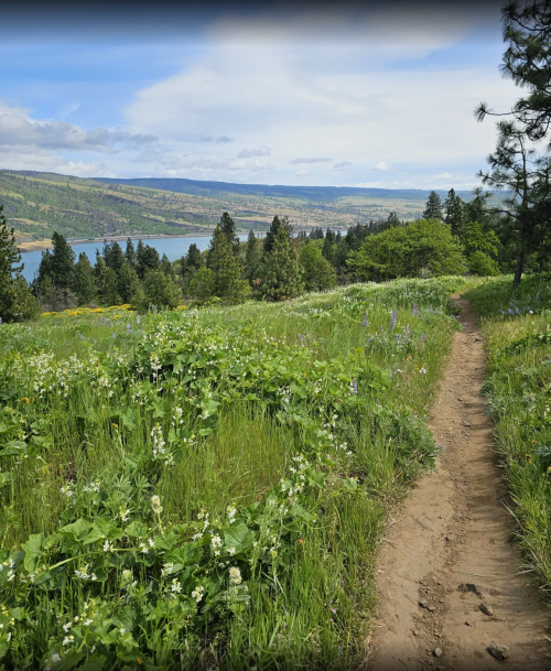 A winding dirt path through lush green grass and wildflowers, overlooking a serene lake and distant hills.