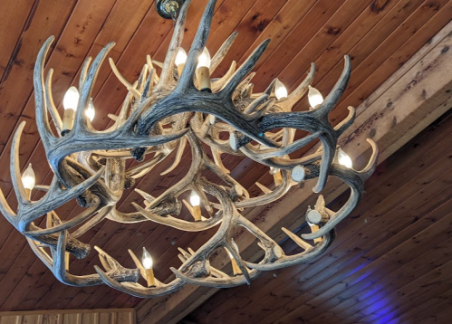 A rustic chandelier made of antlers with multiple light bulbs, hanging from a wooden ceiling.