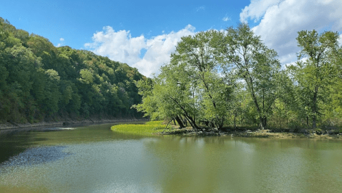 A serene river scene with lush green trees and a clear blue sky, reflecting on calm waters.