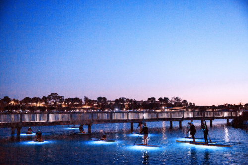 People paddleboarding at dusk, illuminated by blue lights, with a bridge and city lights in the background.