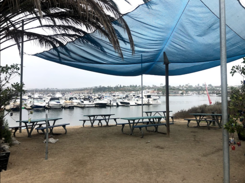 A shaded area with picnic tables overlooking a marina filled with boats on a calm waterway.