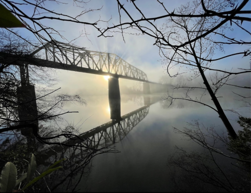 A foggy scene of a bridge reflected in calm water, framed by trees and soft sunlight breaking through the mist.
