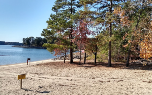 A sandy beach with trees and a calm lake in the background, featuring a sign near the water's edge.