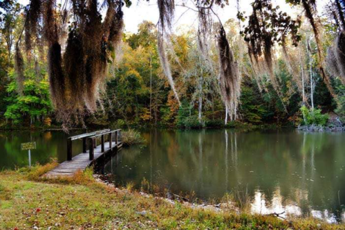 A serene pond surrounded by trees with autumn foliage, featuring a wooden dock and hanging moss.
